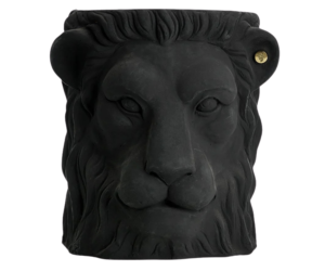 garden glory lion face big black