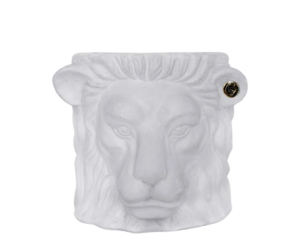 garden glory lion head small white