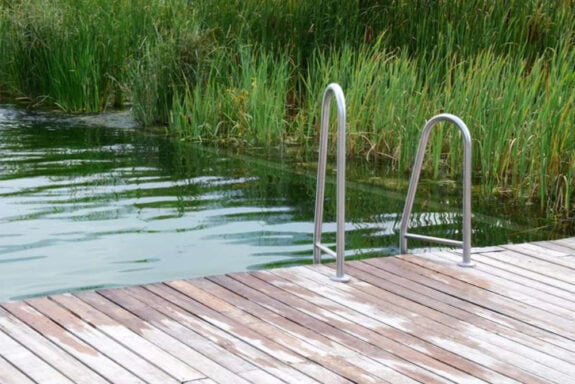 Pool Alternative Schwimmteich - Spadeluxe