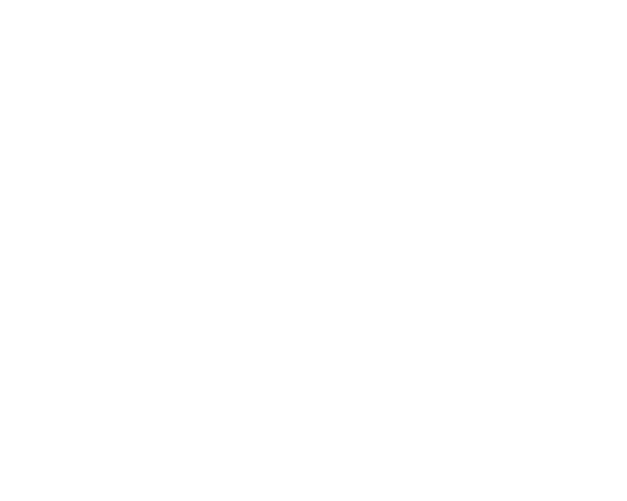 noon logo