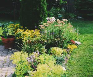 Gartenhaus mit Sauna 2